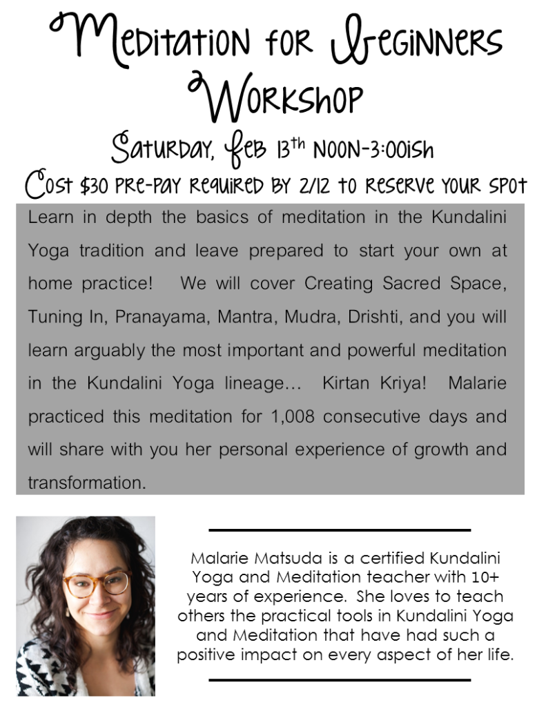 Beginners Meditation Workshop feb 13